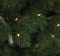 7.5ft. Pre-Lit Rutherford Pine Artificial Christmas Tree, Warm White LED Lights by Ashland®