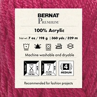 3 Pack Bernat® Premium™ Yarn