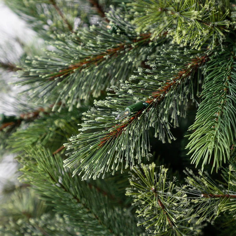 7.5ft. Pre-Lit Jackson Spruce Artificial Christmas Tree, Warm White LED Lights by Ashland®