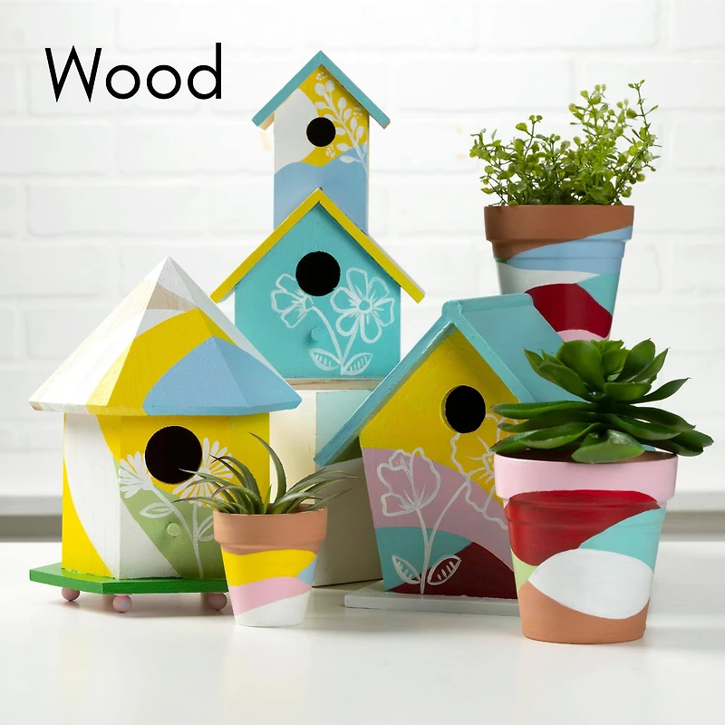 FolkArt® Basics Multi-Surface Acrylic Paint