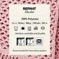2 Pack Bernat® Blanket™ BB™ Yarn