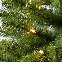 4ft. Pre-Lit Lakewood Spruce Artificial Christmas Tree, Warm White LED Lights by Ashland®