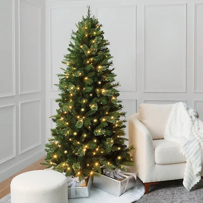 6ft. Pre-Lit Sierra Spruce Artificial Christmas Tree, Warm White LED Lights by Ashland®