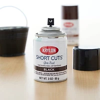 Krylon® Short Cuts® Gloss Enamel