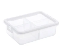 Ezy Storage Short 4-Compartment Storage Box