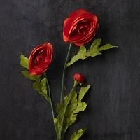 Ashland® Ranunculus Spray