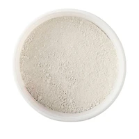 Dap® Plaster of Paris