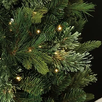 6ft. Pre-Lit Sierra Spruce Artificial Christmas Tree, Warm White LED Lights by Ashland®