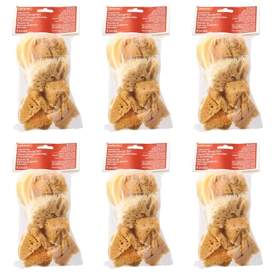 6 Pack: Variety Sponge Value Pack by Craft Smart®