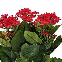  17.25" Red Artificial Kalanchoe Bush