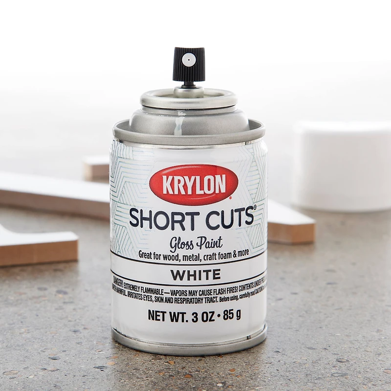 Krylon® Short Cuts® Gloss Enamel
