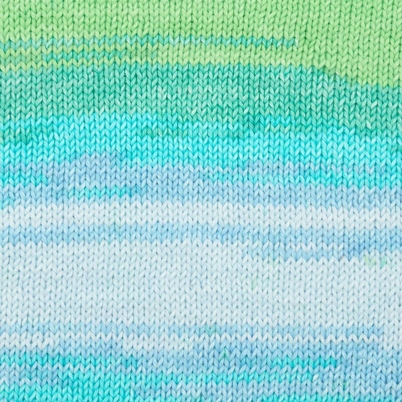 Premier® Cotton Sprout™ Worsted Multi Yarn