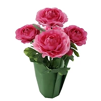 14" Potted Ranunculus by Ashland