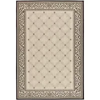 Safavieh Frona Oriental Indoor Outdoor Rectangular Accent Rug