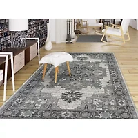 Amer Rugs Alexandria AE Indoor Rectangular Area Rug