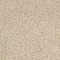 Safavieh Shag Collection Celandine Solid Area Rug