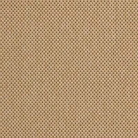 Safavieh Courtyard Collection Trina Bordered Indoor/Outdoor Area Rug