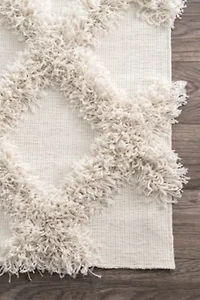nuLoom Francene Diamond Trellis Shaggy RectangularRug