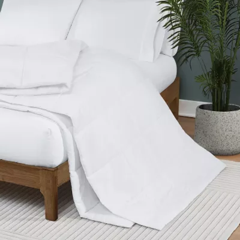 Truly Soft Everyday Solid Blanket