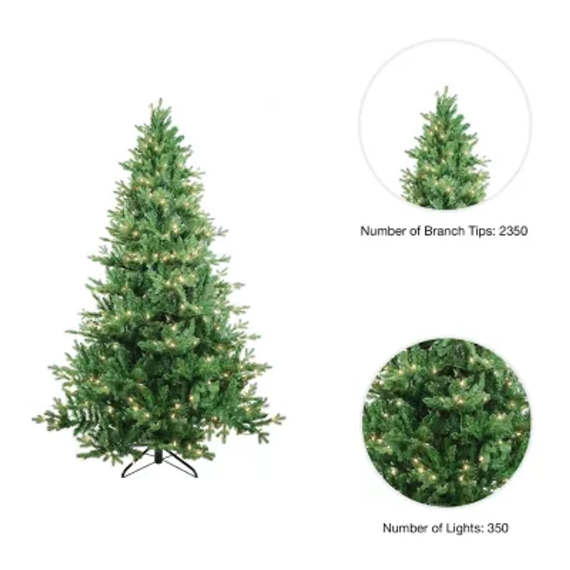 Kurt Adler 7-Foot Pre-Lit Clear Incandescent Jackson Pine Tree