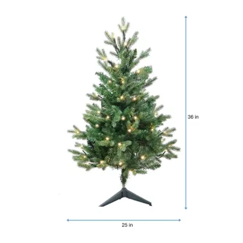 Kurt Adler 3-Foot Warm White LED Jackson Pine Tree