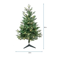 Kurt Adler 3-Foot Warm White LED Jackson Pine Tree