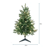 Kurt Adler 3-Foot Pre-Lit Clear Incandescent Jackson Pine Tree