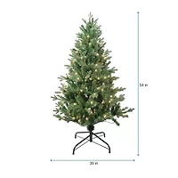 Kurt Adler 4.5-Foot Pre-Lit Clear Incandescent Jackson Pine Tree