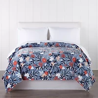 Home Expressions Velvet Plush Blanket