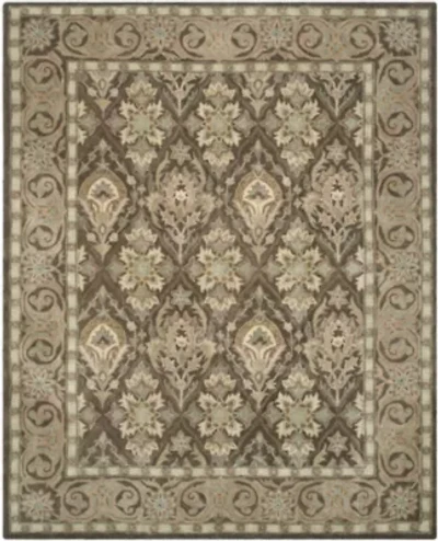 Safavieh Torrey Traditional Area Rug