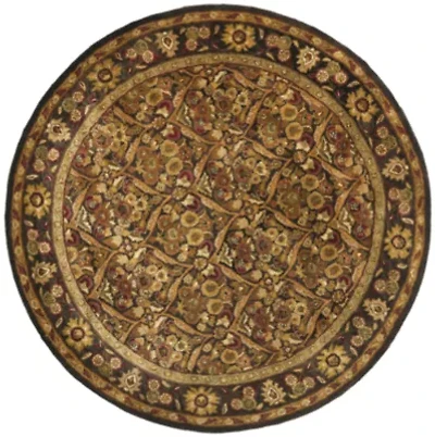 Safavieh Hedley Traditional Rugs