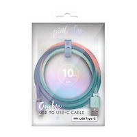 *10 Foot Type C Cable