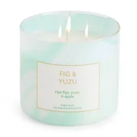 Distant Lands Fig & Yuzu 3-Wick Scented Jar Candle