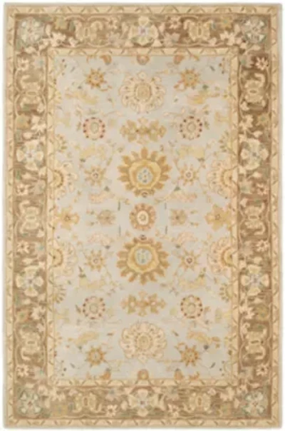Safavieh Teagan Traditional Area Rug