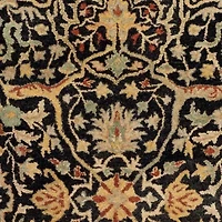 Safavieh Jaime Traditional Area Rug