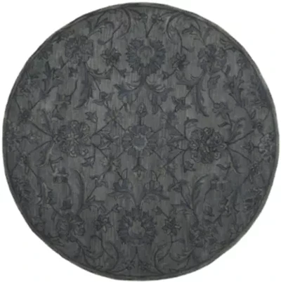 Safavieh Tokora Traditional Area Rug