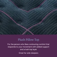 Beautyrest World Class Level Three 16" Plush Pillow top - Mattress + Adjustable Base