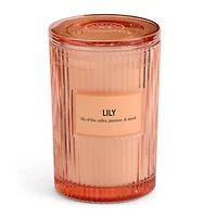 Martha Stewart 19oz Lily 2-Wick Scented Jar Candle