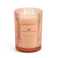 Martha Stewart 19oz Lily 2-Wick Scented Jar Candle