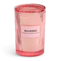 Martha Stewart 19oz Wild Berries 2-Wick Scented Jar Candle