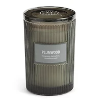 Martha Stewart 19oz Plumwood 2-Wick Scented Jar Candle
