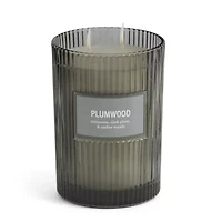 Martha Stewart 19oz Plumwood 2-Wick Scented Jar Candle