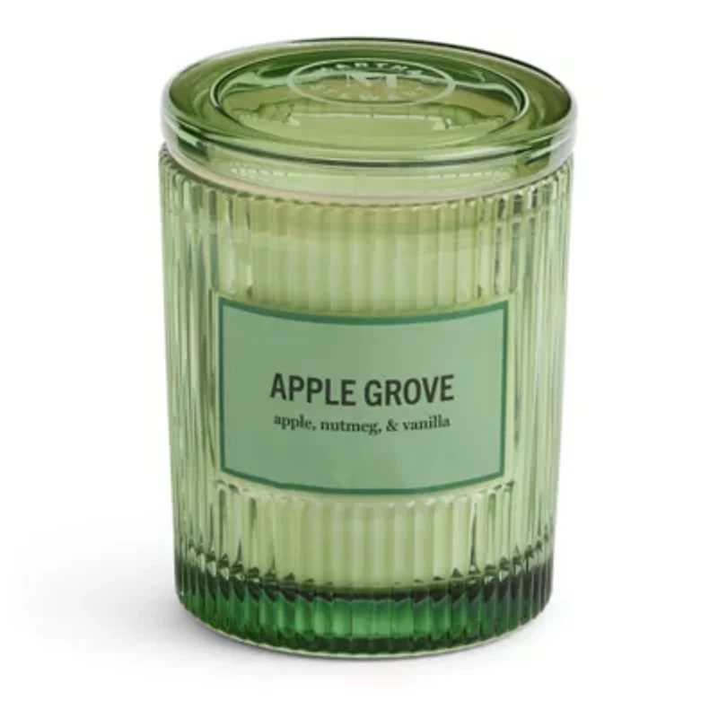Martha Stewart 10oz Apple Grove Single Wick Scented Jar Candle