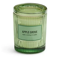 Martha Stewart 10oz Apple Grove Single Wick Scented Jar Candle