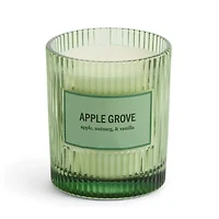 Martha Stewart 10oz Apple Grove Single Wick Scented Jar Candle