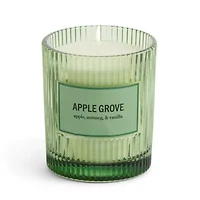 Martha Stewart 10oz Apple Grove Single Wick Scented Jar Candle