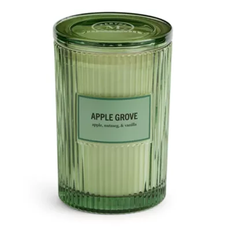 Martha Stewart 19oz Apple Grove 2-Wick Scented Jar Candle