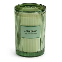 Martha Stewart 19oz Apple Grove 2-Wick Scented Jar Candle