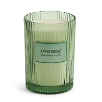 Martha Stewart 19oz Apple Grove 2-Wick Scented Jar Candle