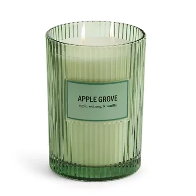 Martha Stewart 19oz Apple Grove 2-Wick Scented Jar Candle
